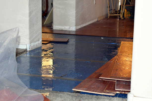 Professional Burst Pipe Cleanup technician working in Lenni, PA